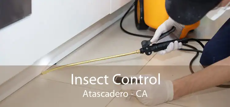 Insect Control Atascadero - CA