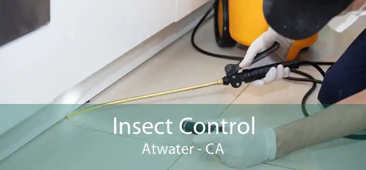 Insect Control Atwater - CA