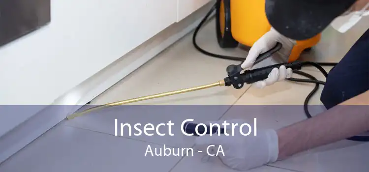 Insect Control Auburn - CA