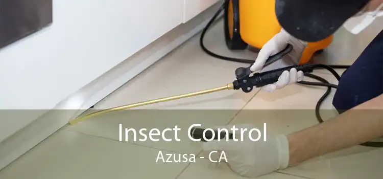 Insect Control Azusa - CA