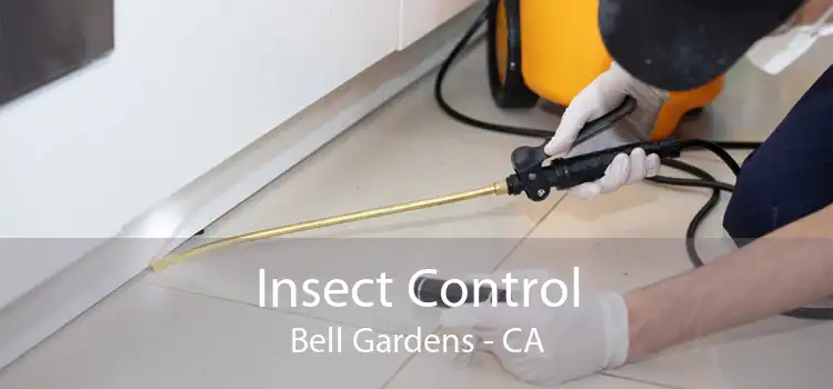 Insect Control Bell Gardens - CA
