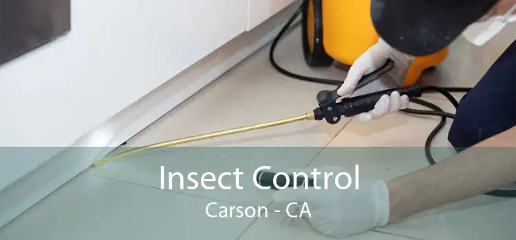 Insect Control Carson - CA