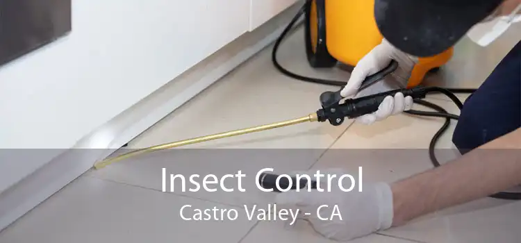 Insect Control Castro Valley - CA