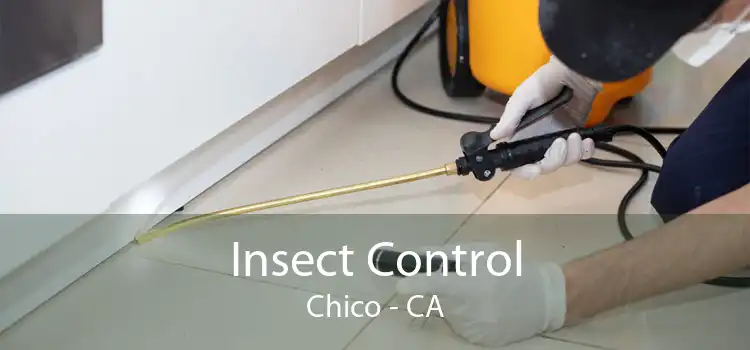 Insect Control Chico - CA