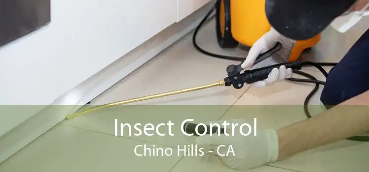 Insect Control Chino Hills - CA