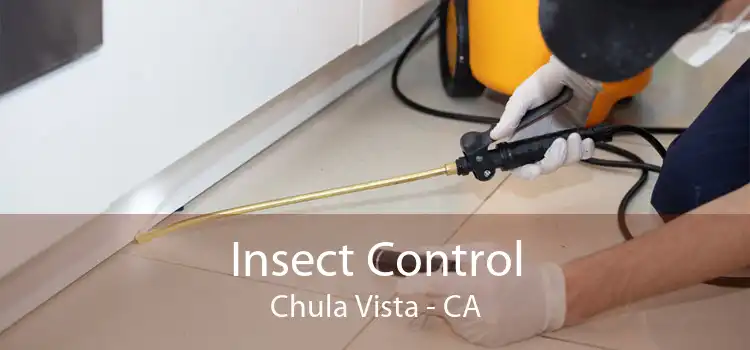 Insect Control Chula Vista - CA