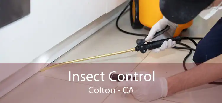 Insect Control Colton - CA