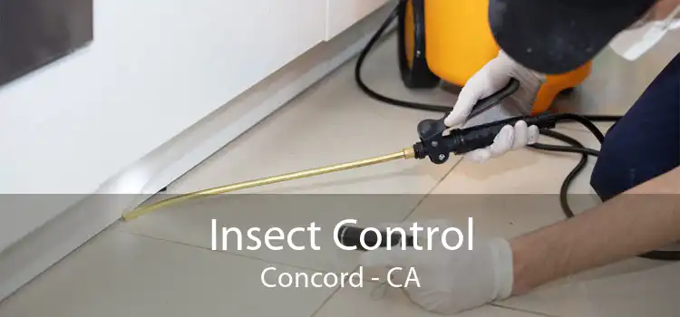 Insect Control Concord - CA