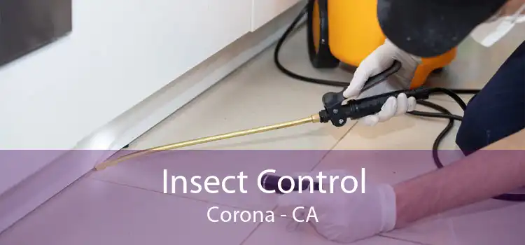 Insect Control Corona - CA