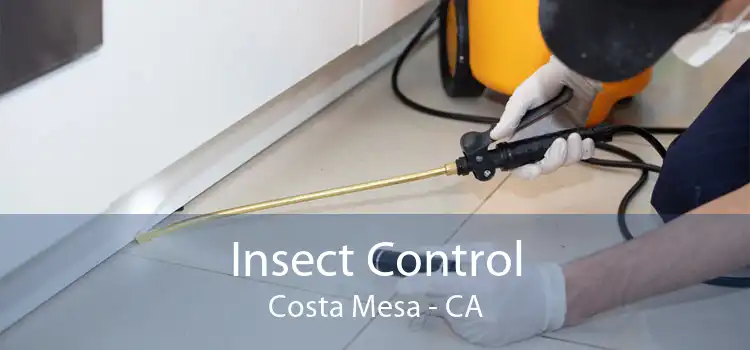 Insect Control Costa Mesa - CA