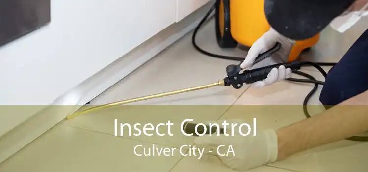 Insect Control Culver City - CA