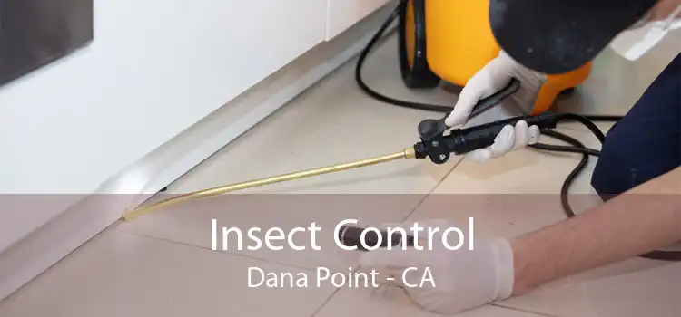 Insect Control Dana Point - CA