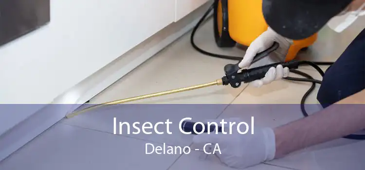 Insect Control Delano - CA