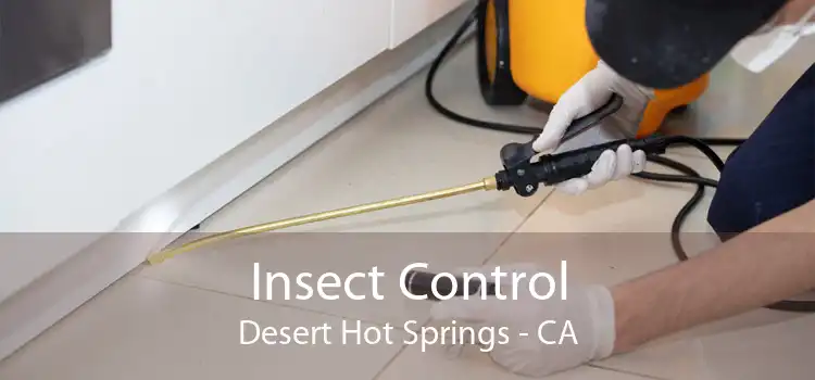 Insect Control Desert Hot Springs - CA