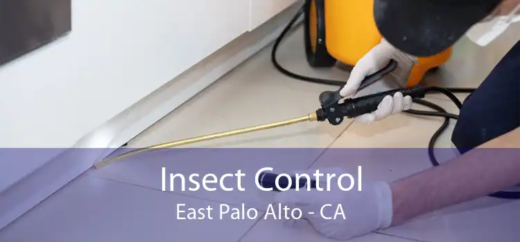 Insect Control East Palo Alto - CA