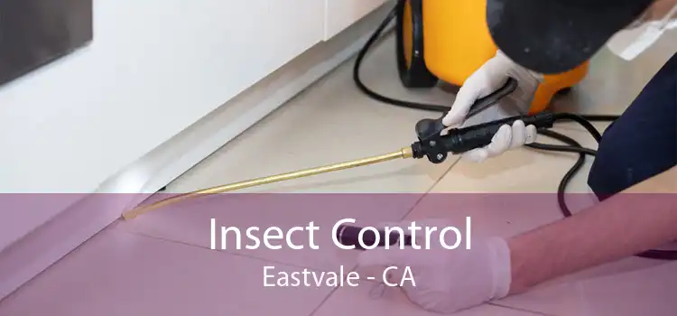 Insect Control Eastvale - CA