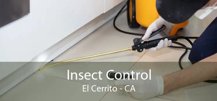 Insect Control El Cerrito - CA