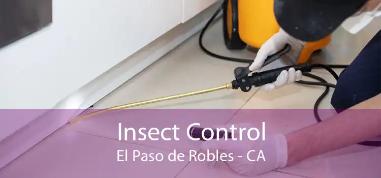 Insect Control El Paso de Robles - CA