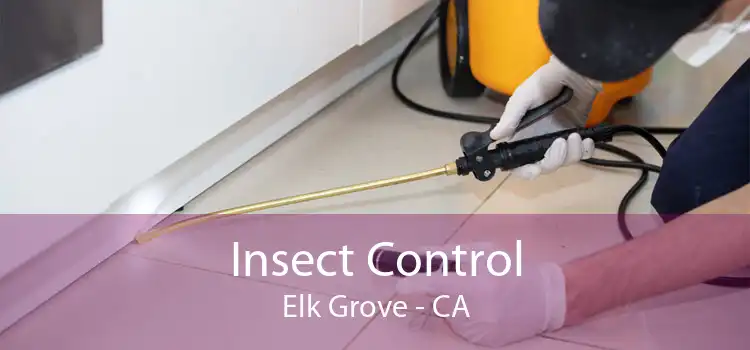 Insect Control Elk Grove - CA