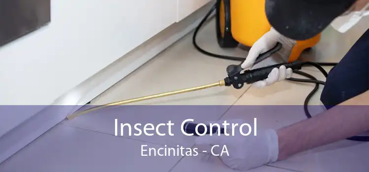 Insect Control Encinitas - CA
