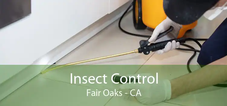Insect Control Fair Oaks - CA