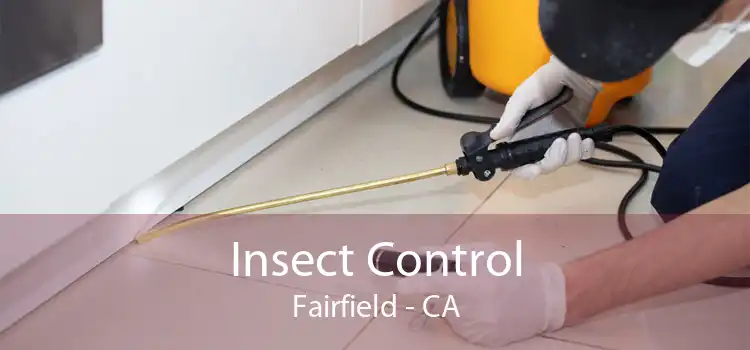 Insect Control Fairfield - CA