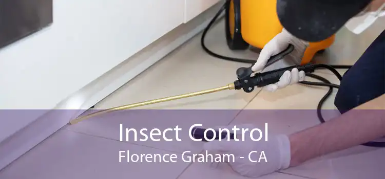 Insect Control Florence Graham - CA