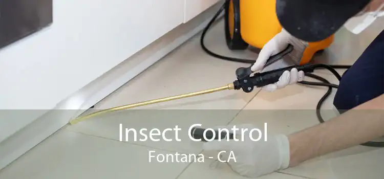 Insect Control Fontana - CA