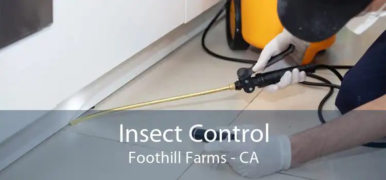 Insect Control Foothill Farms - CA