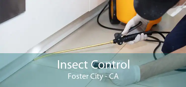 Insect Control Foster City - CA
