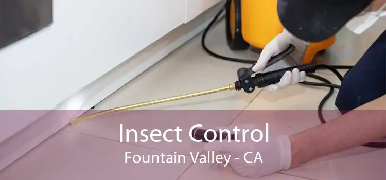 Insect Control Fountain Valley - CA