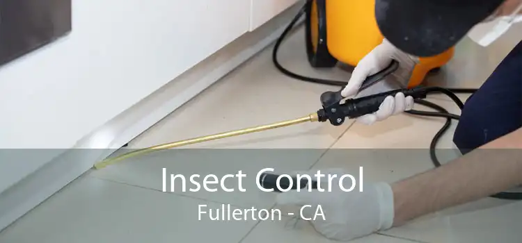 Insect Control Fullerton - CA