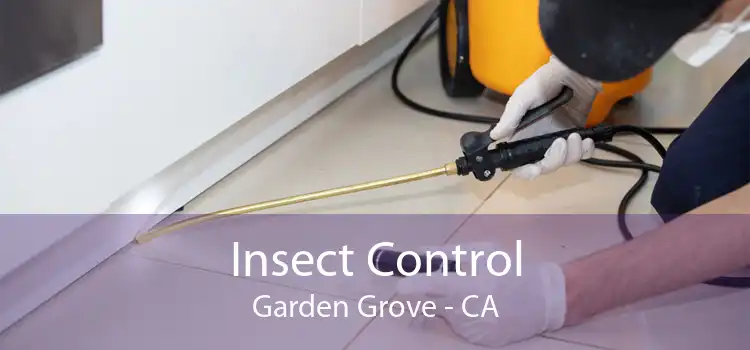 Insect Control Garden Grove - CA