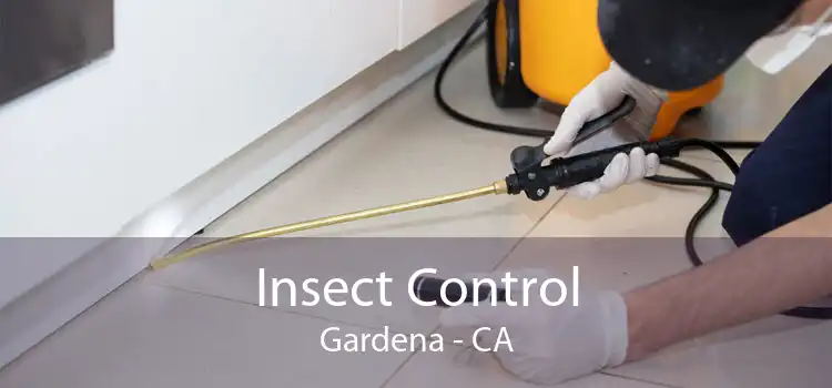 Insect Control Gardena - CA