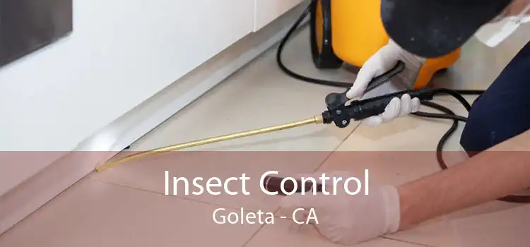 Insect Control Goleta - CA