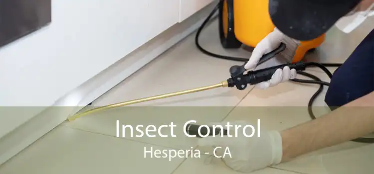 Insect Control Hesperia - CA