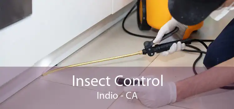 Insect Control Indio - CA