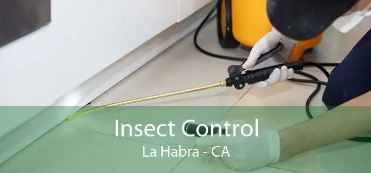 Insect Control La Habra - CA