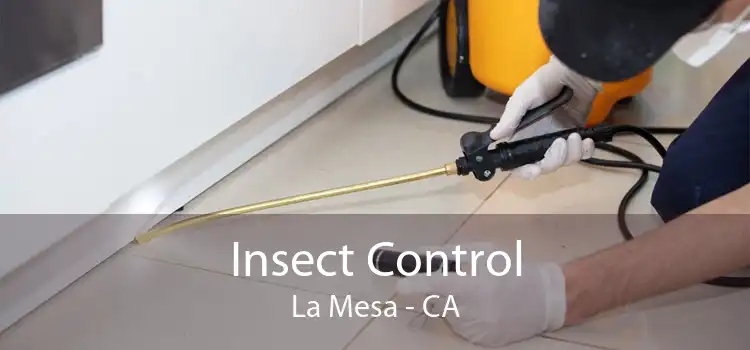 Insect Control La Mesa - CA