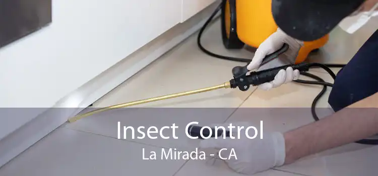 Insect Control La Mirada - CA