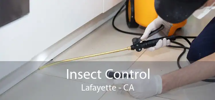 Insect Control Lafayette - CA