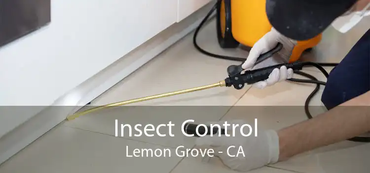 Insect Control Lemon Grove - CA