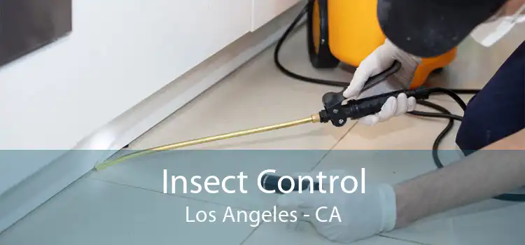 Insect Control Los Angeles - CA