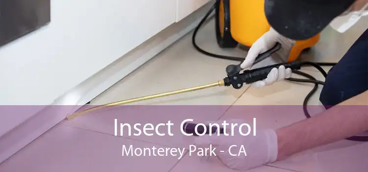 Insect Control Monterey Park - CA