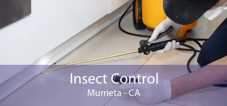 Insect Control Murrieta - CA