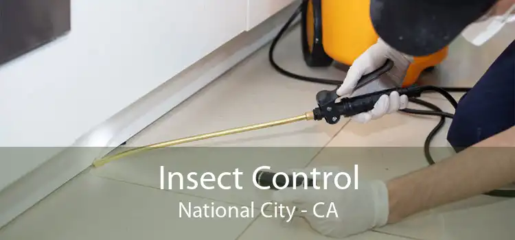 Insect Control National City - CA