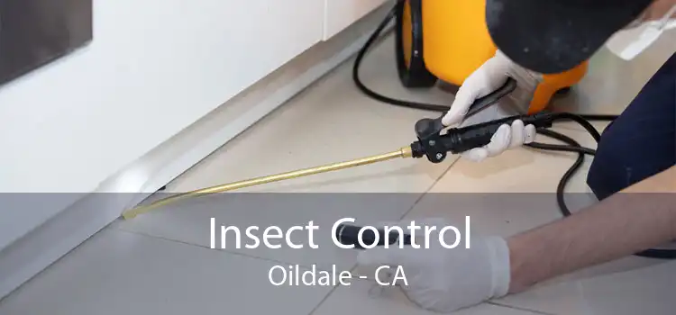 Insect Control Oildale - CA
