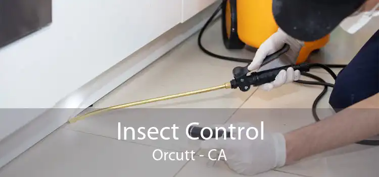 Insect Control Orcutt - CA