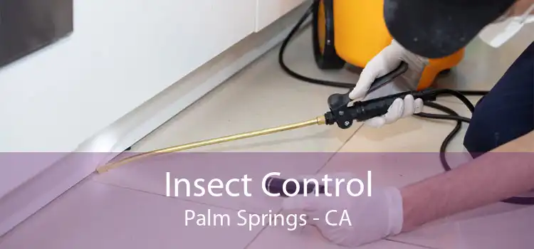 Insect Control Palm Springs - CA