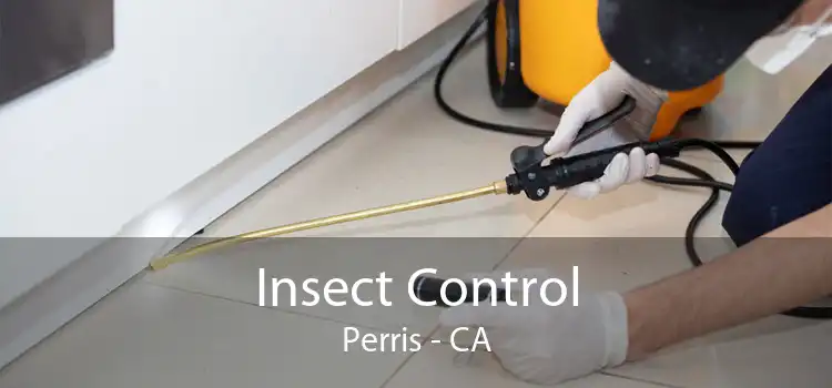 Insect Control Perris - CA